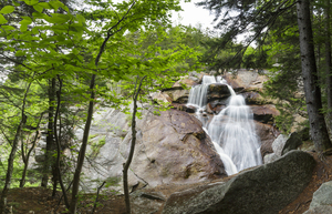 Harvard Brook - Lincoln New Hampshire