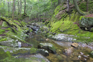 Walker Brook - Woodstock New Hampshire