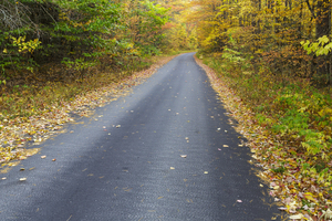 Tunnel Brook Road - Easton New Hampshire