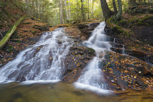 Tecumseh Brook  - Waterville Valley New Hampshire
