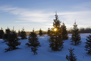 The Rocks Estate - Bethlehem New Hampshire