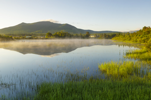 Airport Marsh - Whitefield New Hampshire
