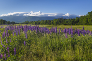 Valley Road - Jefferson New Hampshire