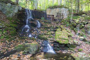 Rollo Fall - Randolph New Hampshire