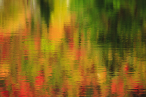 Wildlife Pond - Bethlehem  New Hampshire 