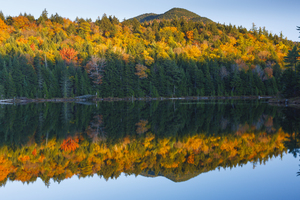 Rocky Gorge Scenic Area - White Mountains New Hampshire