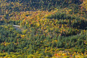 Boulder Loop Trail - White Mountains New Hampshire