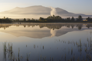 Airport Marsh  - Whitefield New Hampshire