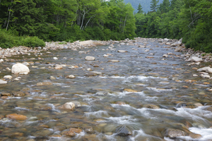 Swift River - White Mountains New Hampshire