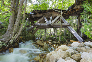 Trestle 16 - East Branch & Lincoln Railroad New Hampshire