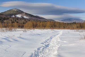 Downes - Oliverian Brook Ski Trail - White Mountains New Hampshire