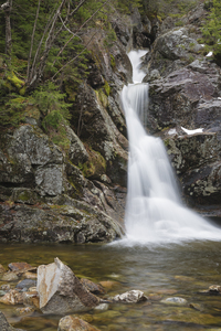 Gibbs Brook - White Mountains New Hampshire 
