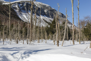Pemi Trail - Franconia Notch White Mountains