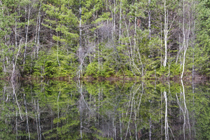 Kancamagus Highway - White Mountains New Hampshire