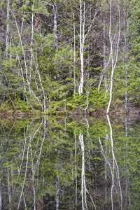 Kancamagus Highway - White Mountains New Hampshire