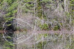 Kancamagus Highway - White Mountains New Hampshire