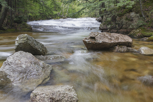 Bartlett Experimental Forest - Bartlett New Hampshire