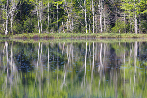 Elbow Pond - North Woodstock New Hampshire