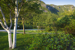 Eagle Cliff - Franconia Notch State Park New Hampshire