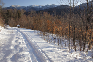 Forest Discovery Trail - White Mountains New Hampshire