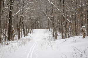 Lafayette Ski Trails - Franconia New Hampshire