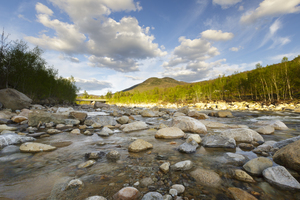 Black Mountain - Lincoln New Hampshire