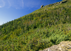 Glen Boulder - White Mountains New Hampshire