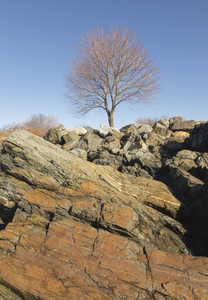 Great Island Common - New Castle New Hampshire