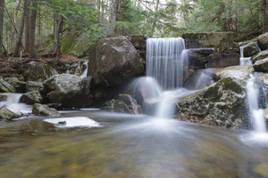 Gibbs Brook - White Mountains New Hampshire