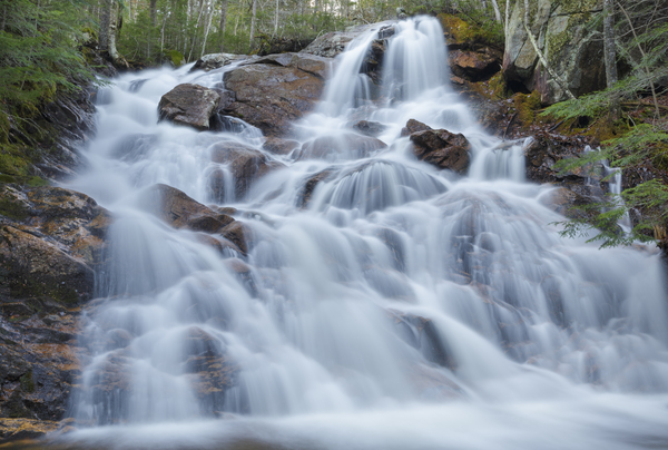 Birch Island Brook Falls - Lincoln New Hampshire Print