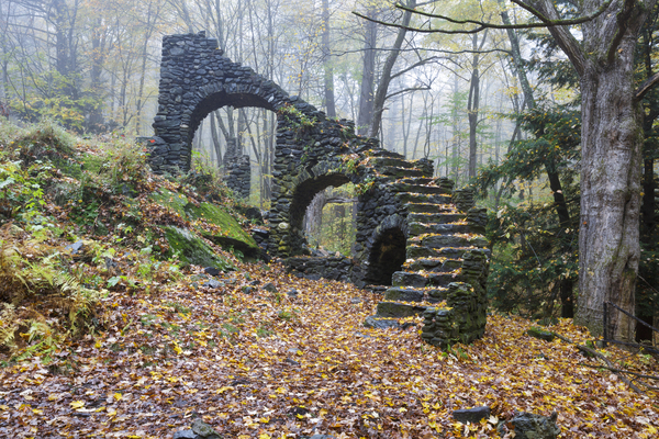 Madame Sherri Forest - Chesterfield New Hampshire Print