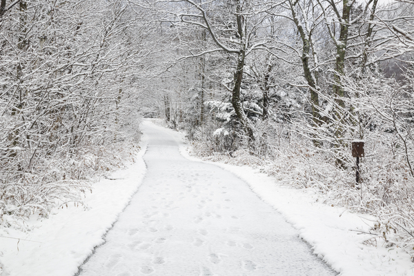 Franconia Bike Path - Franconia Notch New Hampshire Print