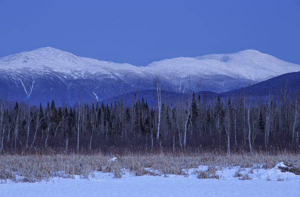 Pondicherry Wildlife Refuge - Jefferson New Hampshire Print