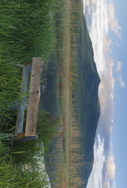 Cherry Mountain - Moorhen Marsh Pondicherry Wildlife Refuge Print