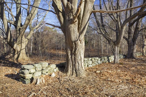 Odiorne Point State Park - Rye New Hampshire Print