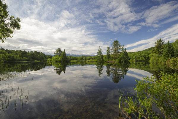 Coffin Pond - Sugar Hill New Hampshire Print
