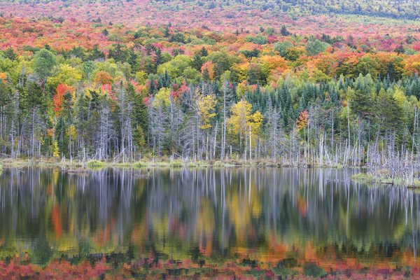 Old Cherry Mountain Road - Carroll New Hampshire Print