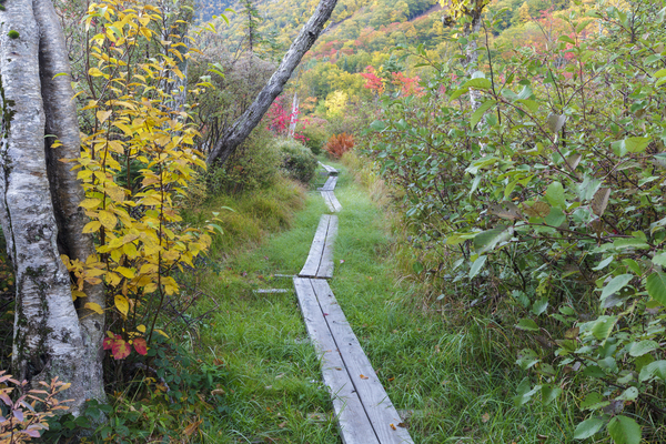 Echo Lake - Franconia Notch New Hampshire Print