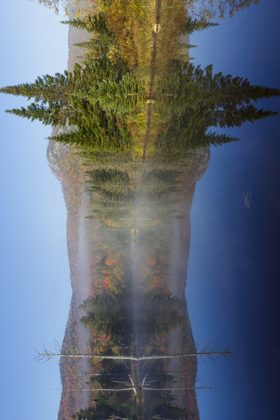 Wildlife Pond - Bethlehem New Hampshire Print