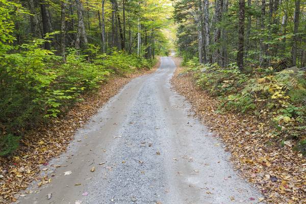Sandwich Notch Road - Sandwich New Hampshire Print