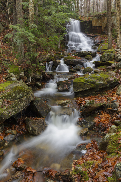 Rollo Fall - Randolph New Hampshire Print