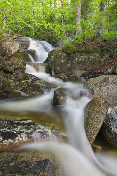 Clough Mine Brook - Kinsman Notch New Hampshire Print