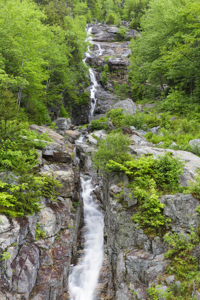 Silver Cascade - Crawford Notch New Hampshire Print