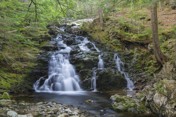 Gordon Fall - Randolph New Hampshire  Print