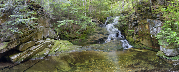 Tama Fall - Randolph New Hampshire  Print