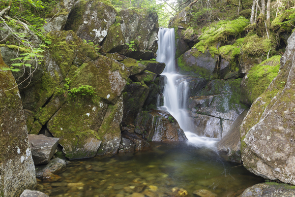 Duck Fall - Low and Burbanks Grant New Hampshire  Print