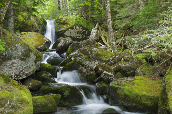 Cold Brook - Low and Burbanks Grant New Hampshire Print