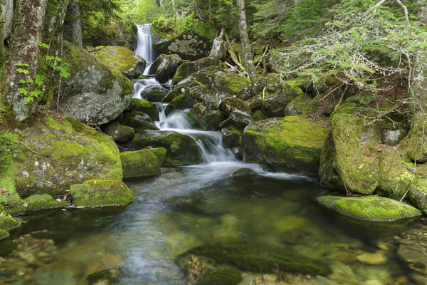 Cold Brook - Low and Burbanks Grant New Hampshire Print