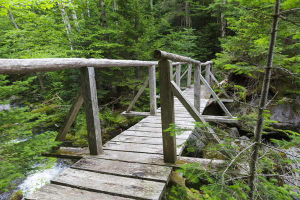 Randolph Path - Low and Burbanks Grant New Hampshire Print
