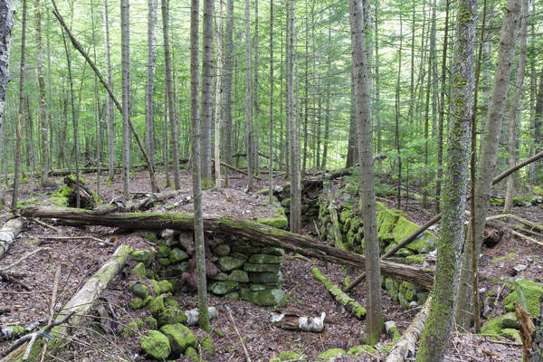 Breezy Point - Warren New Hampshire Print